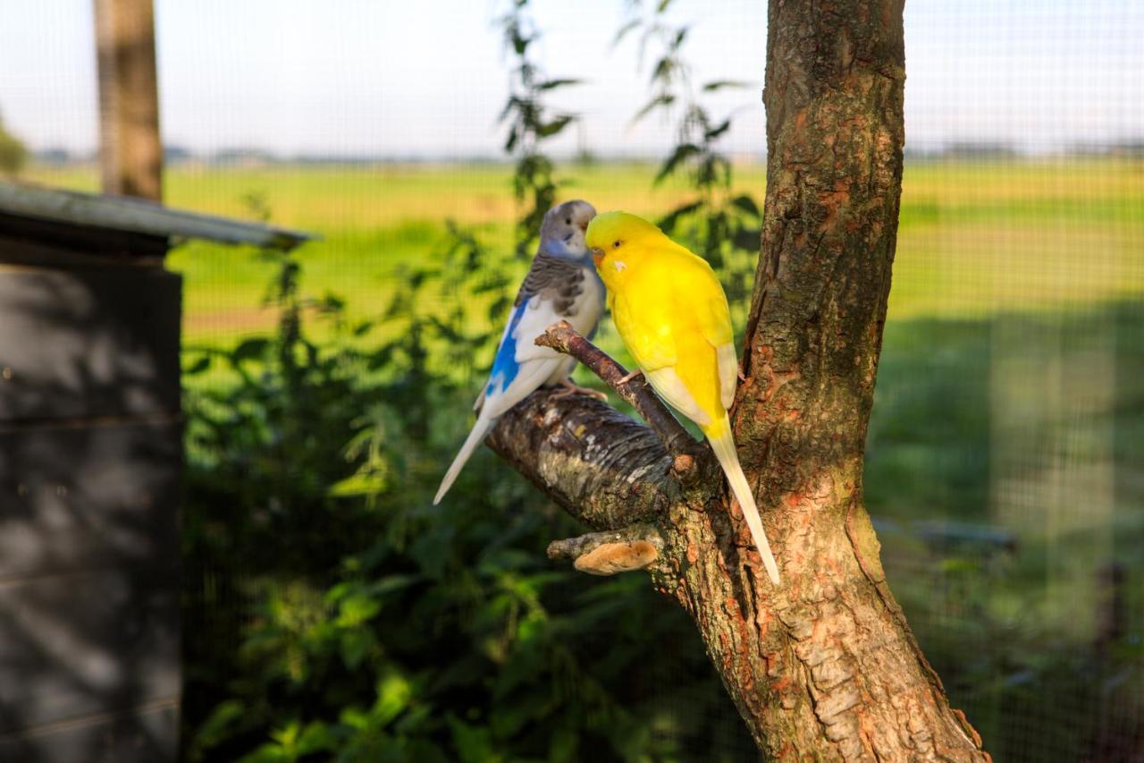 Het Groene Wout Goudriaan Zewnętrze zdjęcie